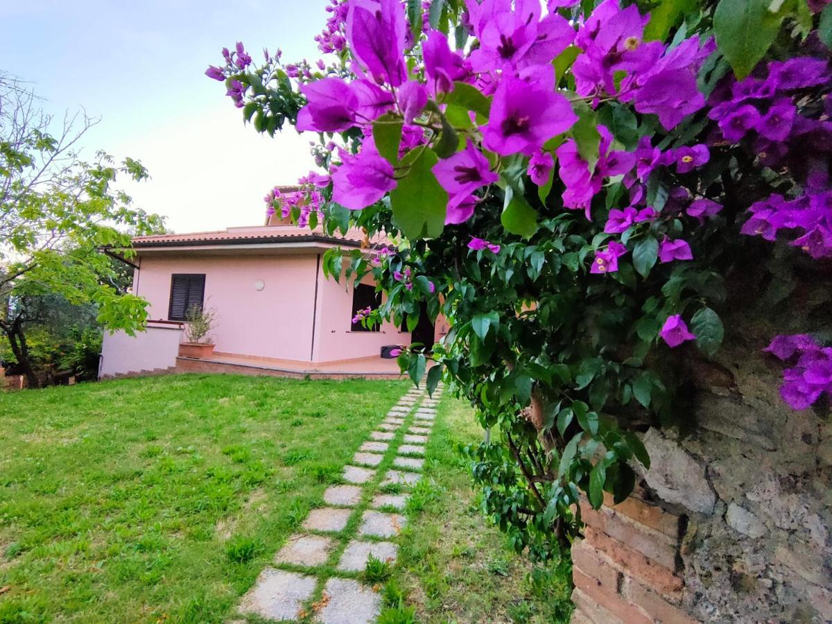 Bella Vista - Belvedere Montebuono  Buitenkant foto
